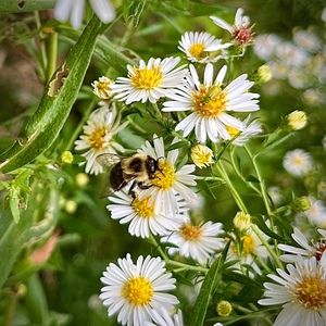 Meet your Posher, Beverly